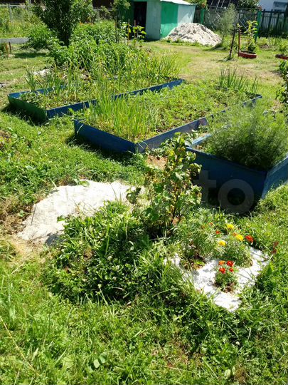 Дача 45 м² на участке 9,8 сот.