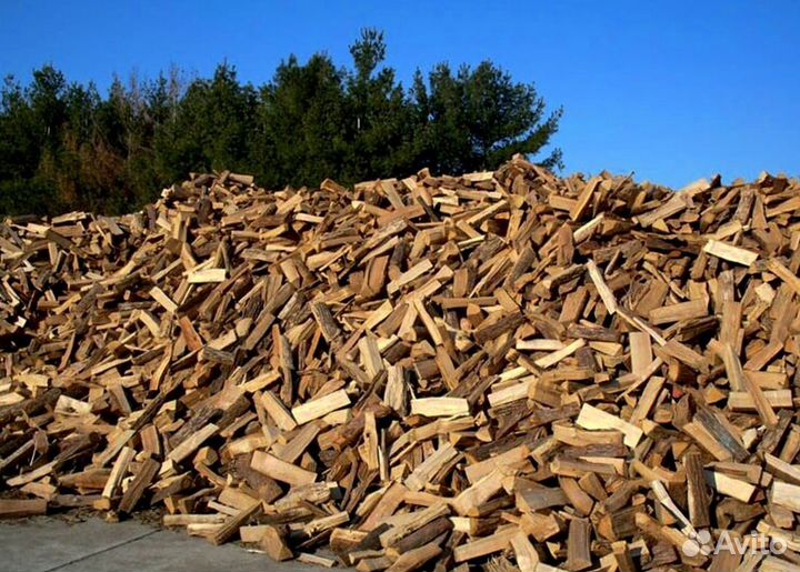 Дрова береза осина ольха