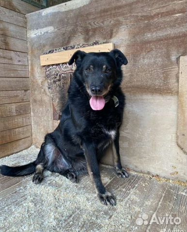 Само спокойствие - вулкан