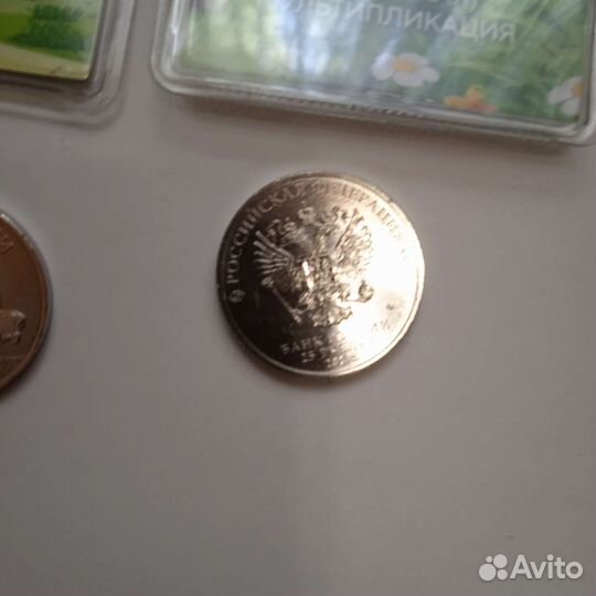 25 р. Смешарики цветная и простая