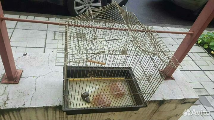 Клетка попугая/хомяка