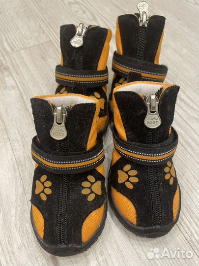 Ботинки для собак