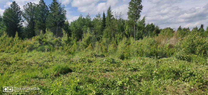 Участок 6,45 га (СНТ, ДНП)