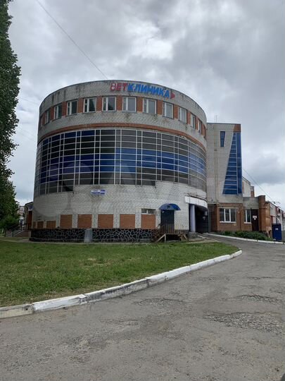 Свободного назначения, 37.8 м²