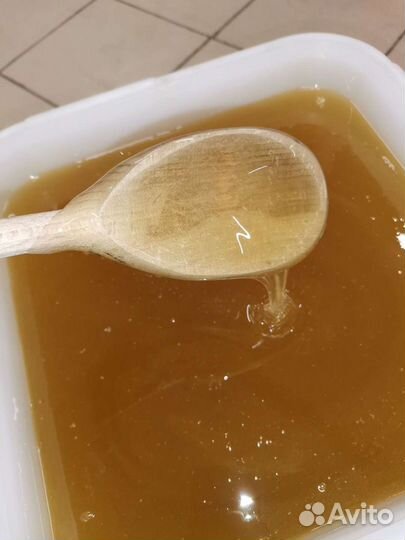 Алтайский мёд весовой 2022 опт