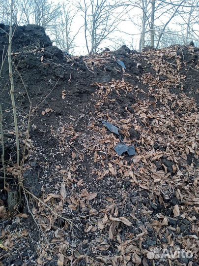 Чернозем перегной