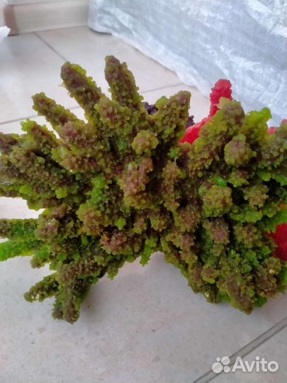 Коралл искусственный