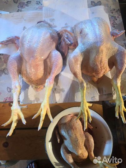 Мясо домашнего бройлера