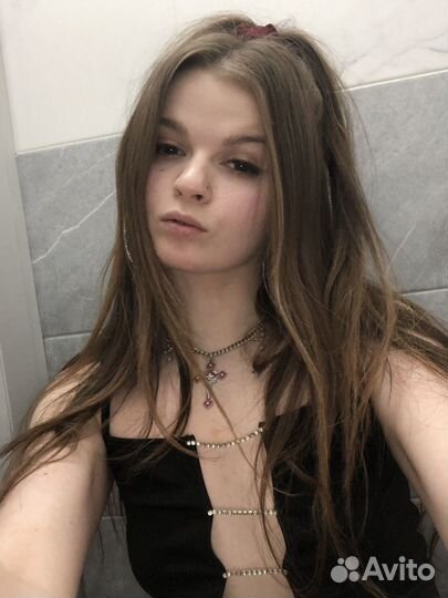 Выгул собак передержка кошек