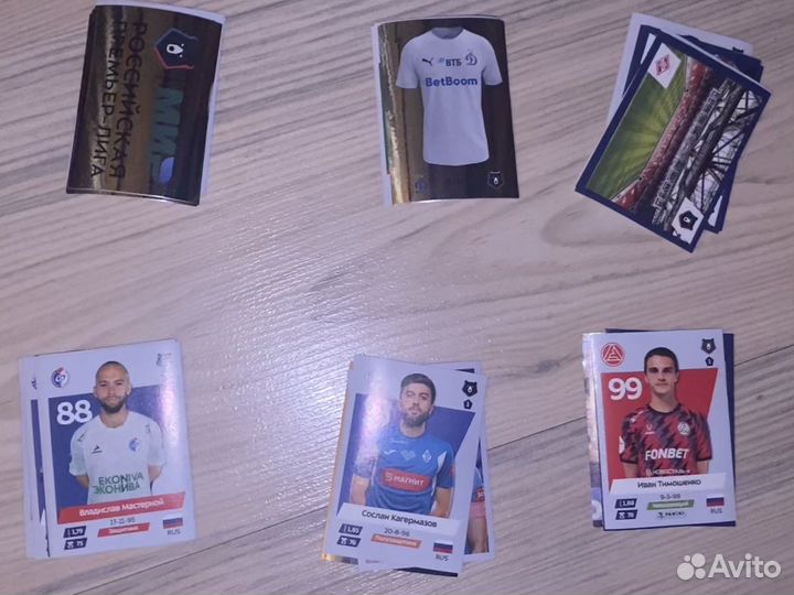 Стикеры panini рпл 2024-2025