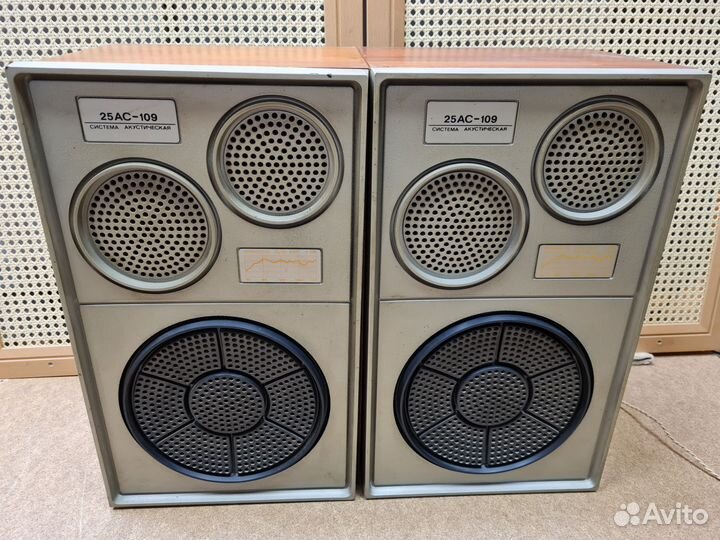 Колонки Вега 25ас 109