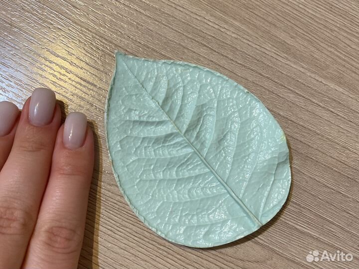 Молд лист сирени и молд лист розы