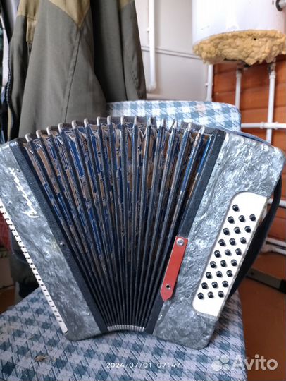 Гармонь Восток