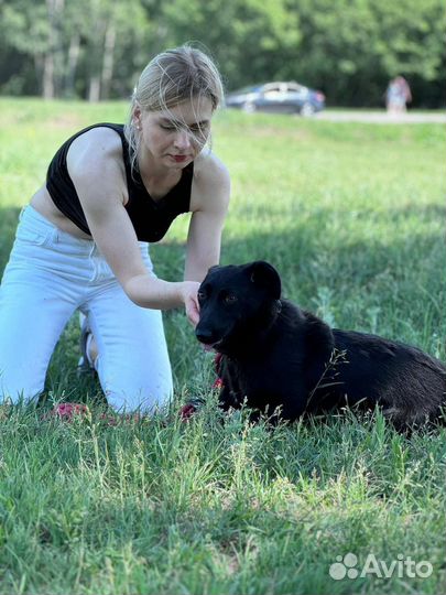 Малышка попала в приют