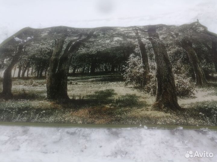 Ковры и паласы бу