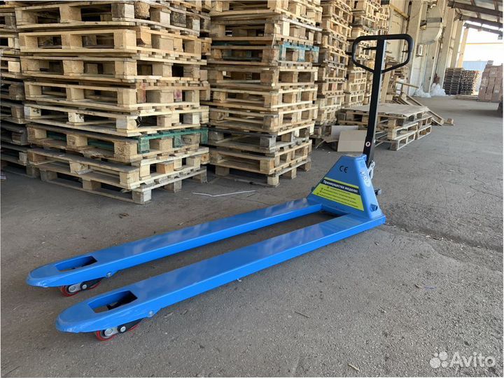 Рохля длинная