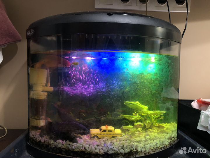 Аквариум