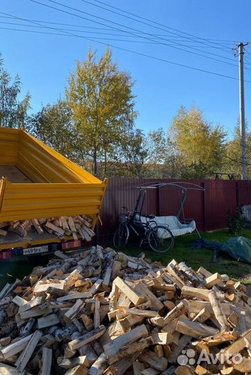 Дрова береза