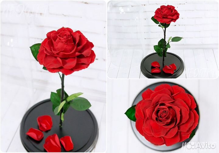 Роза в колбе Живая Премиум розы Кемерово