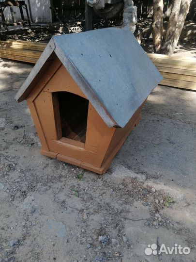 Собачья будка