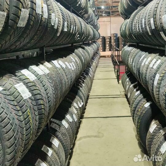 Dunlop Winter Maxx WM01 205/55 R16 91Q