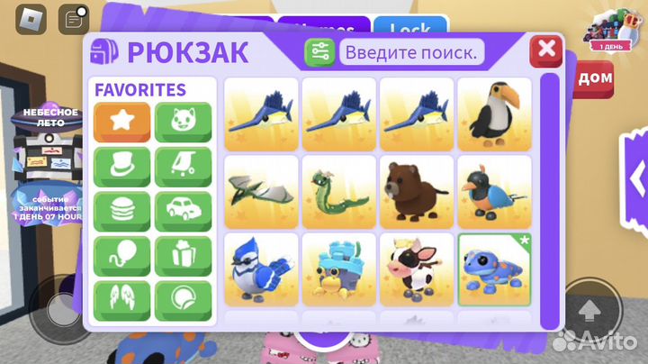 Петы адопт ми