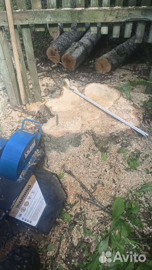 Дробление пней