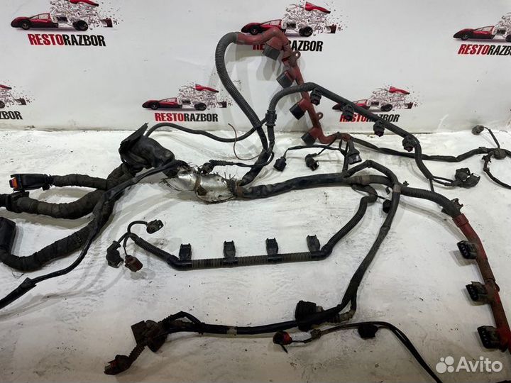 Проводка двс передняя Audi A8 седан BFM 2006
