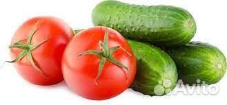 Подготовка и обработка овощей. Вахтовый метод