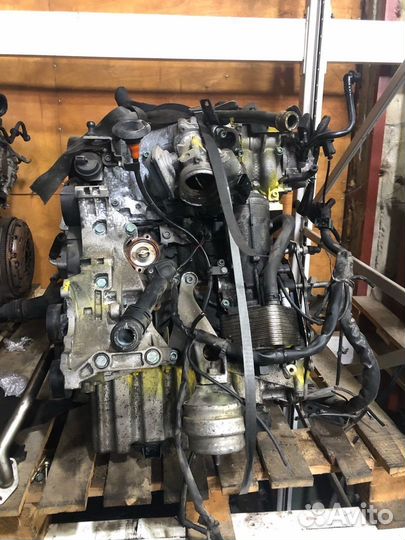 Двигатель Audi A6 C6 A4 B7 2.0 дизель BRE BLB BNA