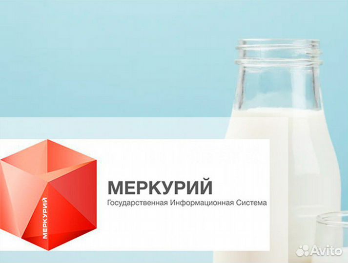 Фгис Меркурий