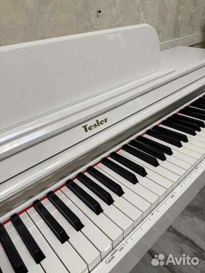 Цифровое пианино tesler STZ-8810