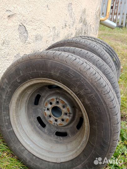 Boto Genesys 218 175/70 R13