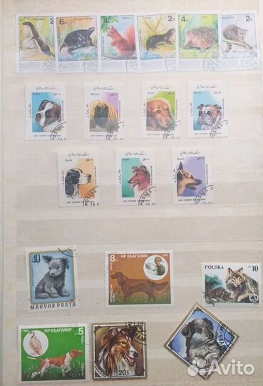 Марки фауна