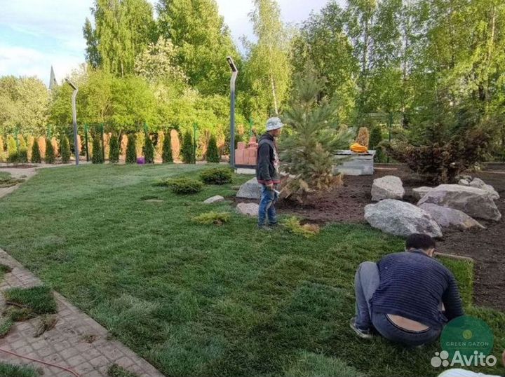 Отличный газон под ключ