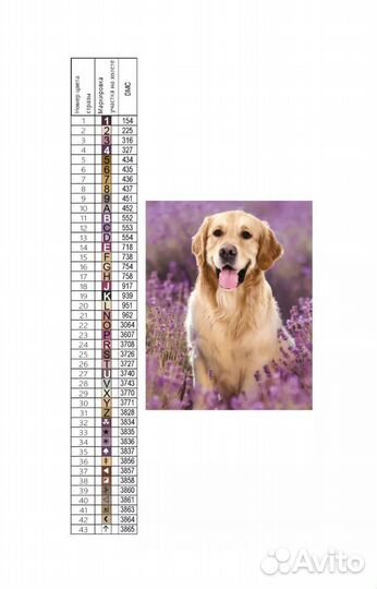 Алмазная мозаика на подрамнике 30*40 Сова