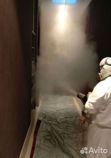 Уничтожение тараканов клопов клещей