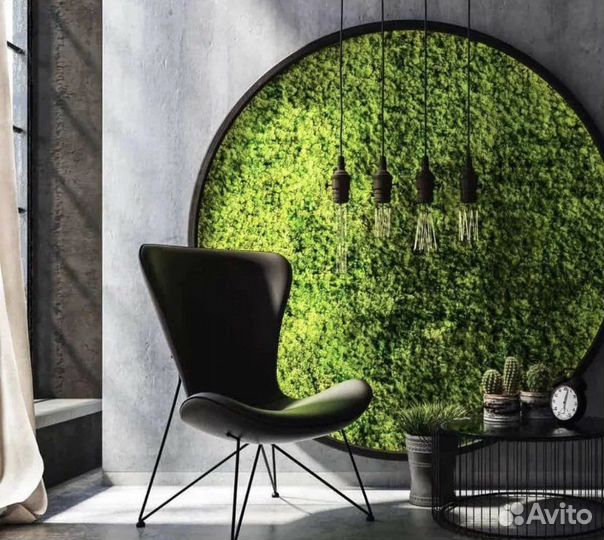 Панно и картины из стабилизированного мха