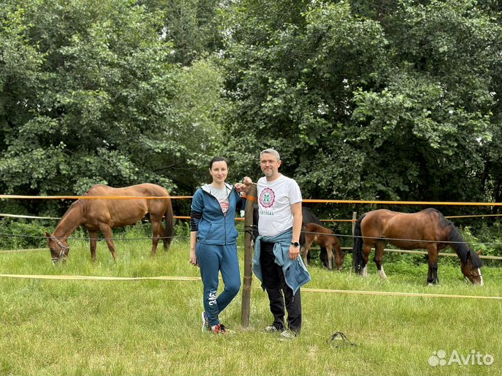 Конные прогулки