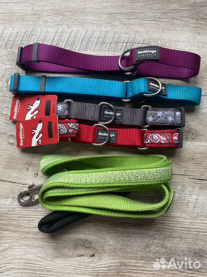 Амуниция для собак