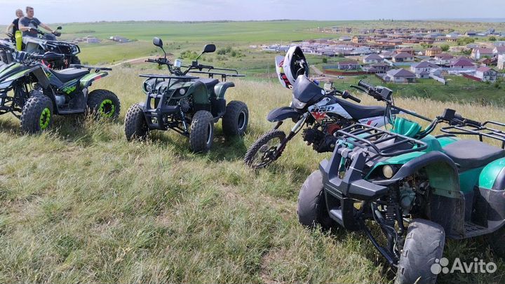 Питбайк Irbis TTR110