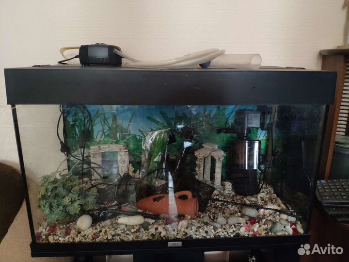Аквариум