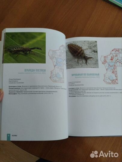 Книга Кандинские озера, красная книга