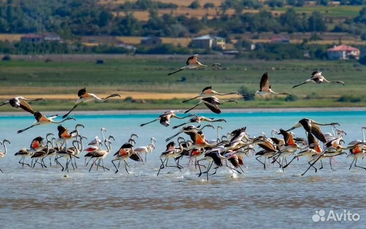 Поездка в Belek 7 нч