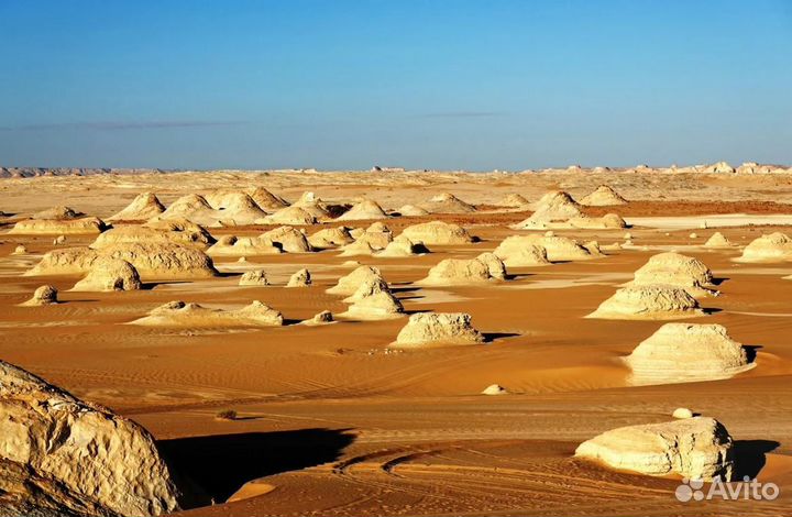 Relax тур в Egypt 7 нч