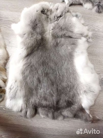 Шкура кролика
