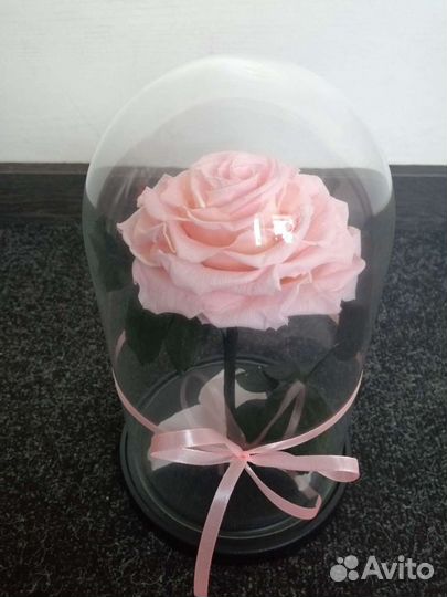 Вечная роза в колбе