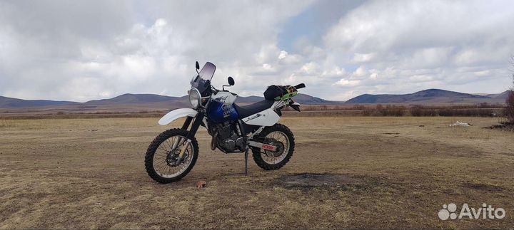 Suzuki Djebel 250XC