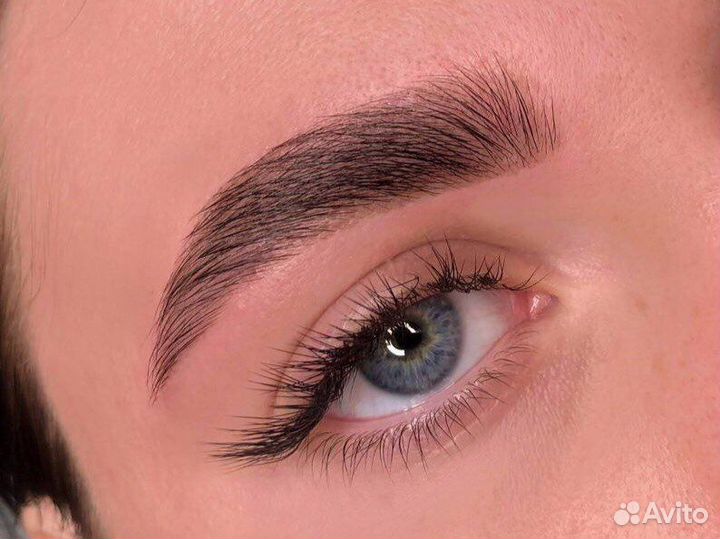 Мастер-бровист