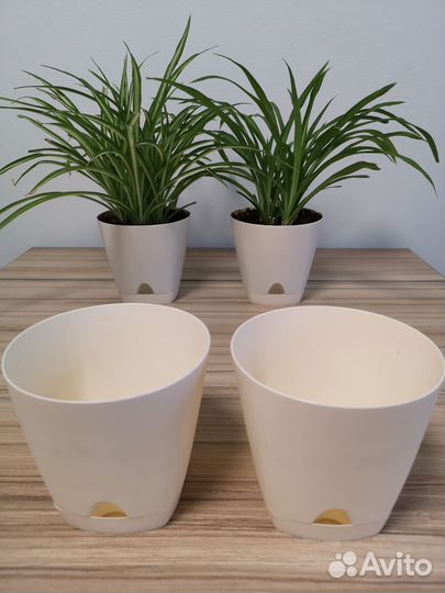 Кашпо с прикорневым поливом